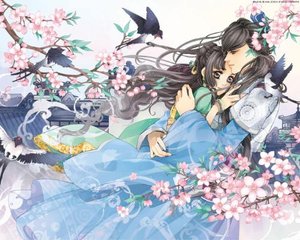 福建兄妹synckey
